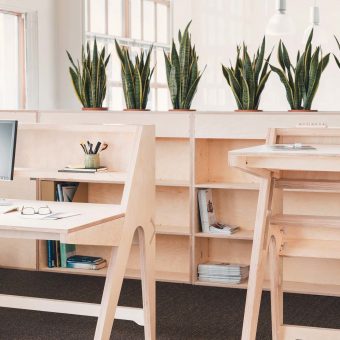 LIFT Standing Desk - Adjustable height office desk. Sustainable wooden desk.