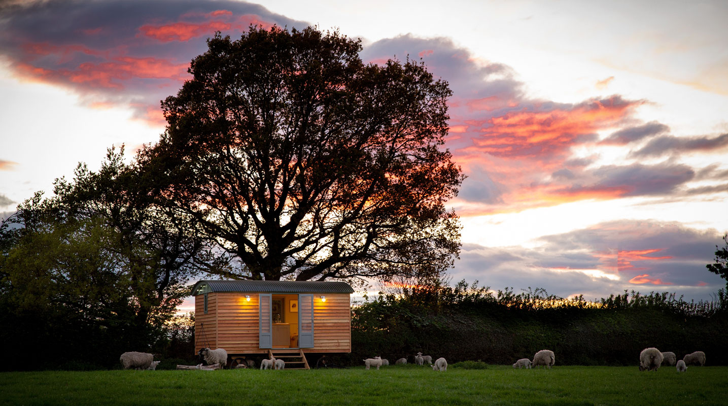 Harrogate Huts - Shepherd Hut in a field at sunset